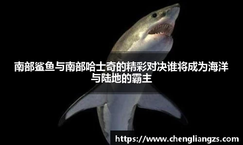 jn江南体育平台