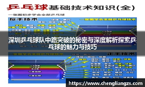 jn江南体育平台